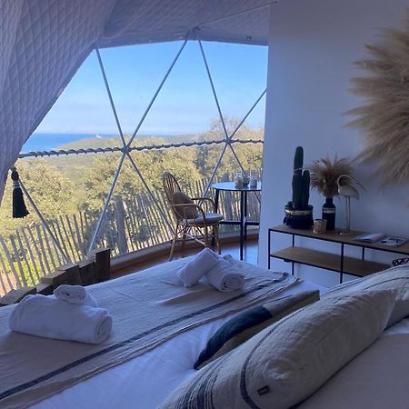 Domaine De Sonia - Logements Eco-Insolites Порто-Векио Екстериор снимка